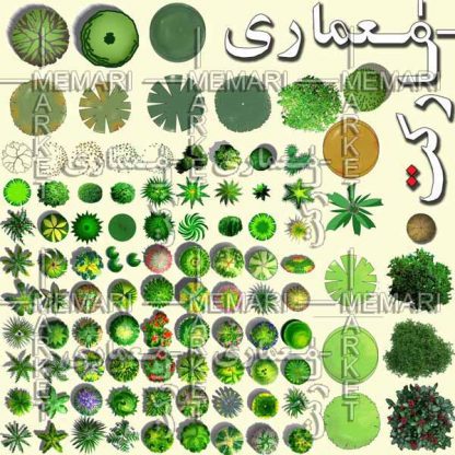 پلان درخت و گیاه برای راندو و پرزانته با فرمت PSD